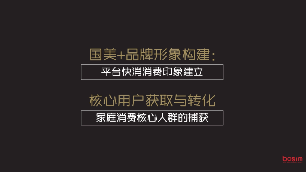 国美&王老吉合作Q1执行方案_第5页