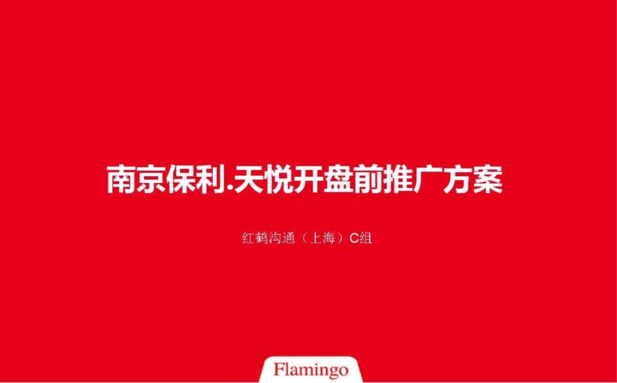 红鹤沟通-保利天悦开盘执行方案_第3页