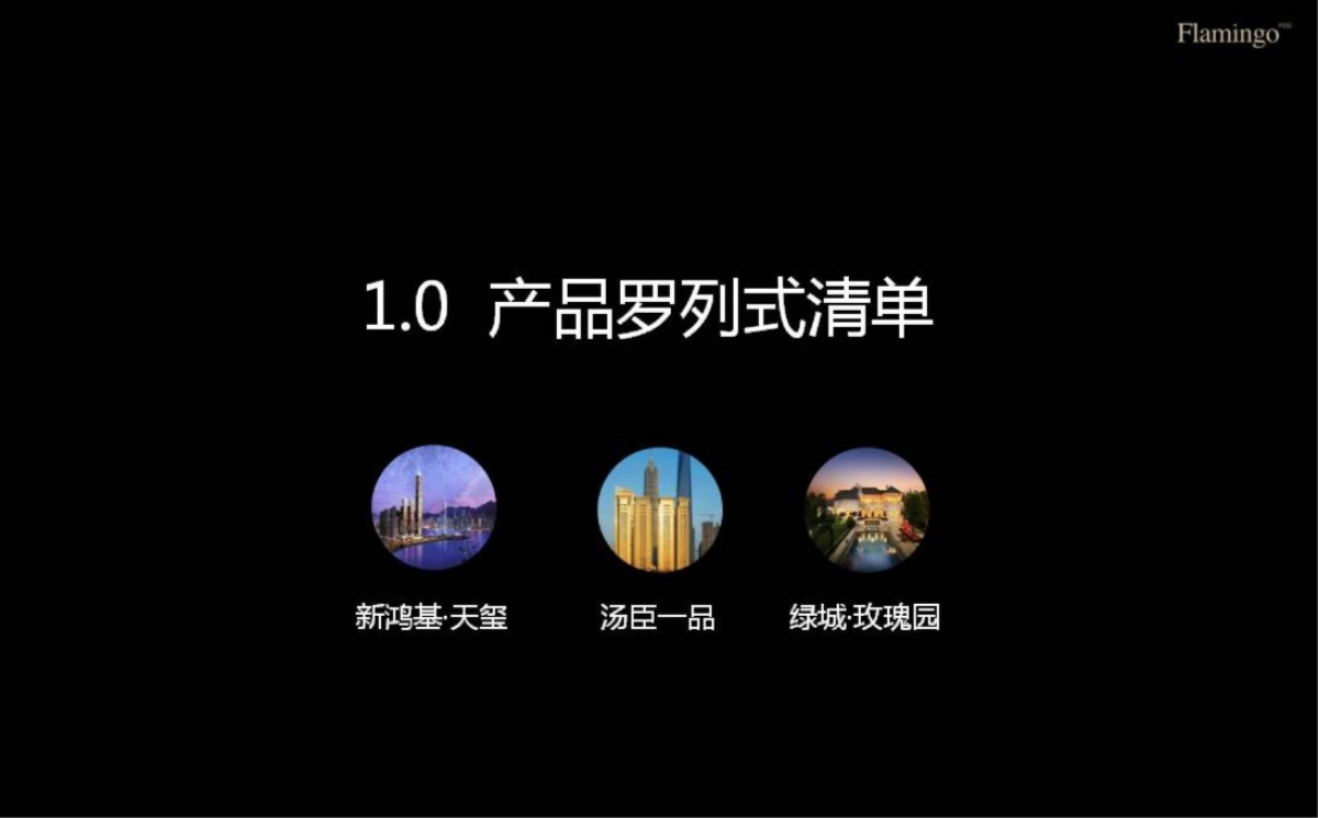 红鹤沟通-保利天悦开盘执行方案_第5页