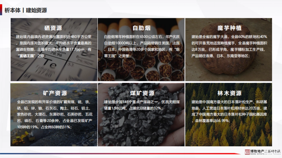 花坪云溪文旅小镇项目年度营销执行方案-80P_第5页