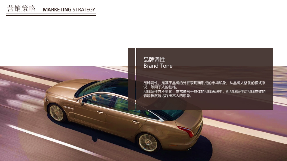 捷豹路虎中心_用户体验提升规划 执行沟通案_第5页