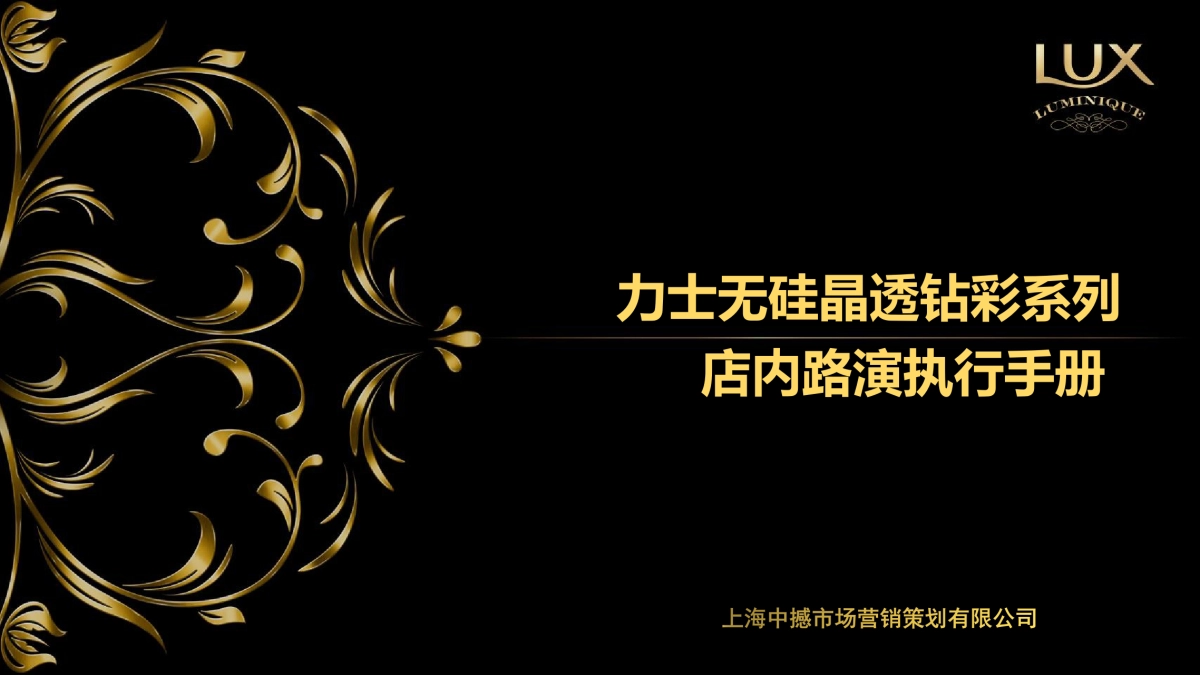 力士小晶钻mini mega路演执行手册_第1页