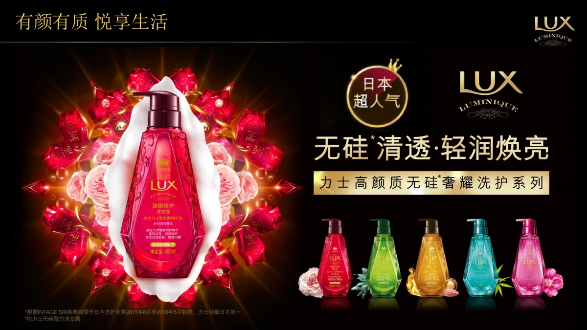 力士小晶钻mini mega路演执行手册_第2页