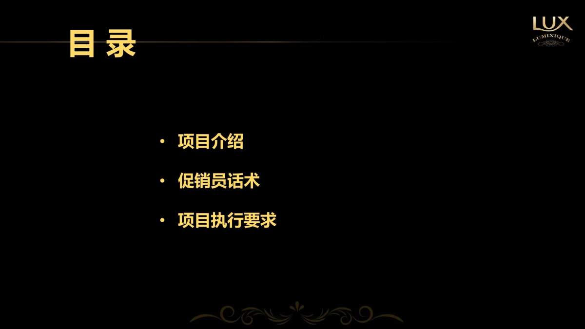 力士小晶钻mini mega路演执行手册_第3页