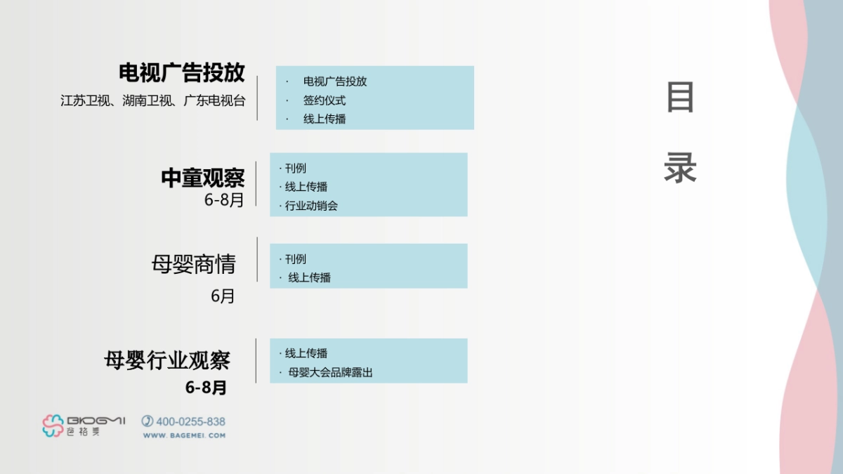 母婴上半年传播执行总结_第4页