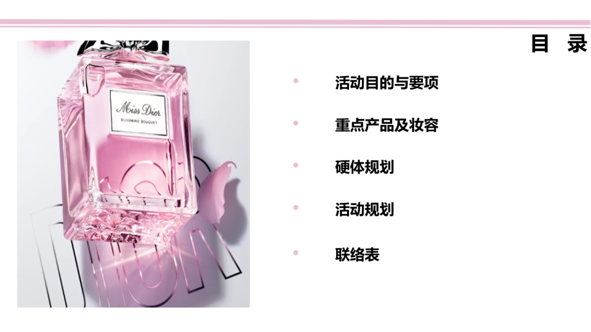 南京德基2018MISS DIOR HPP执行手册 _第2页