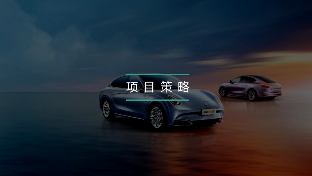 欧拉闪电猫——西区上市活动执行细案_第2页