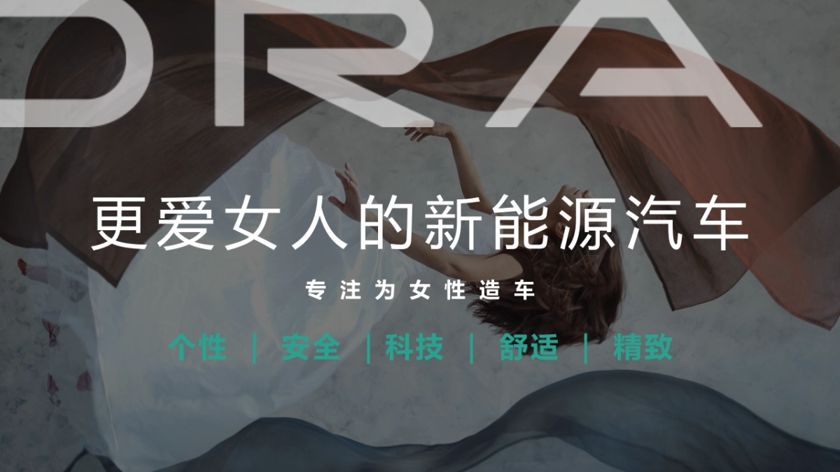 欧拉闪电猫——西区上市活动执行细案_第3页