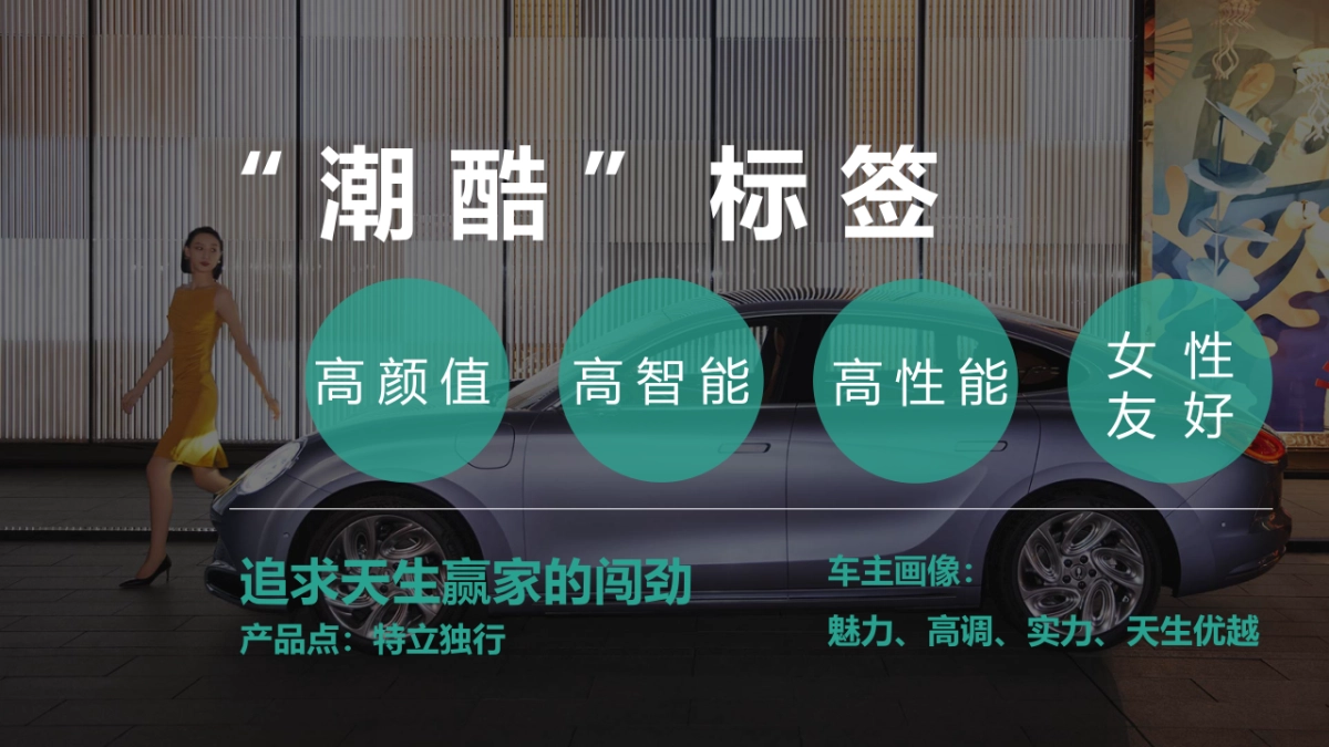 欧拉闪电猫——西区上市活动执行细案_第5页
