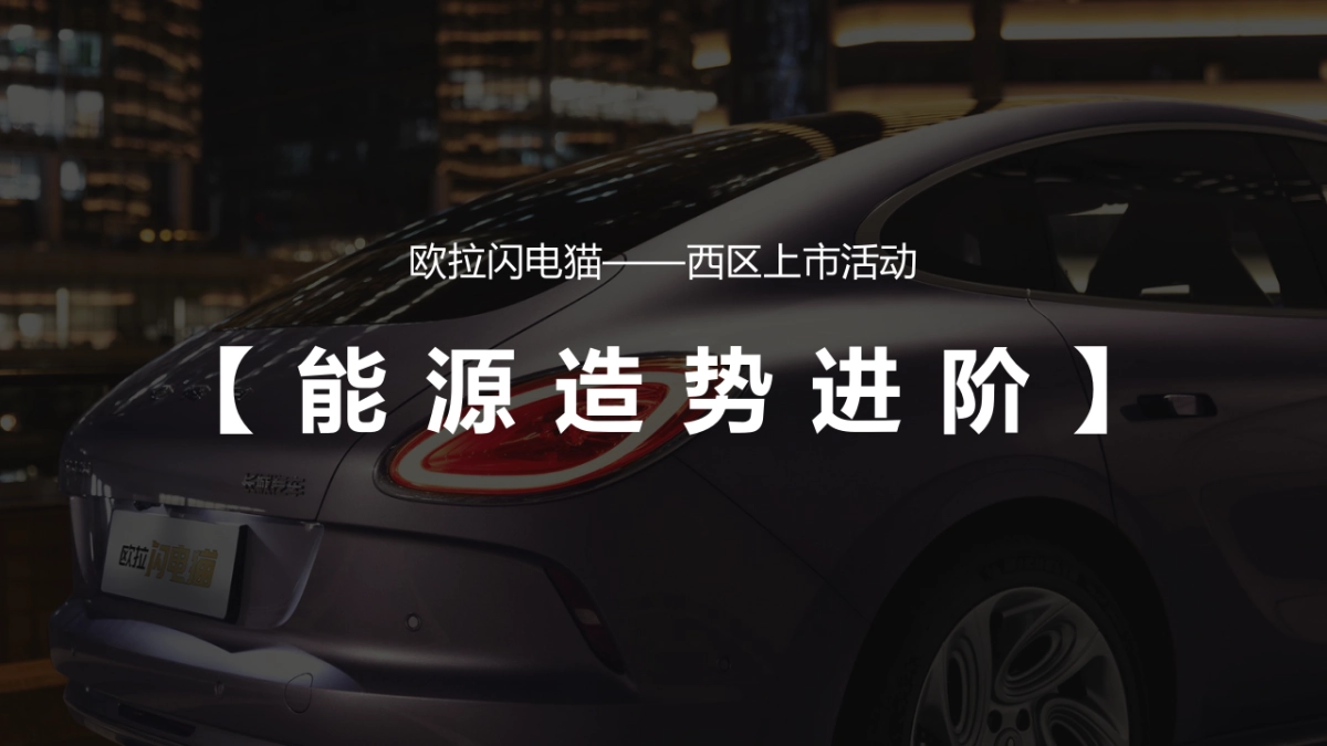 欧拉闪电猫——西区上市活动执行细案_第6页