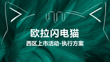 欧拉闪电猫——西区上市活动执行细案