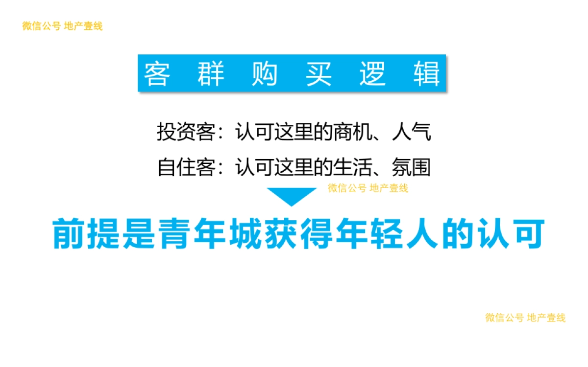 省广-贵州青年城策略执行案_第9页