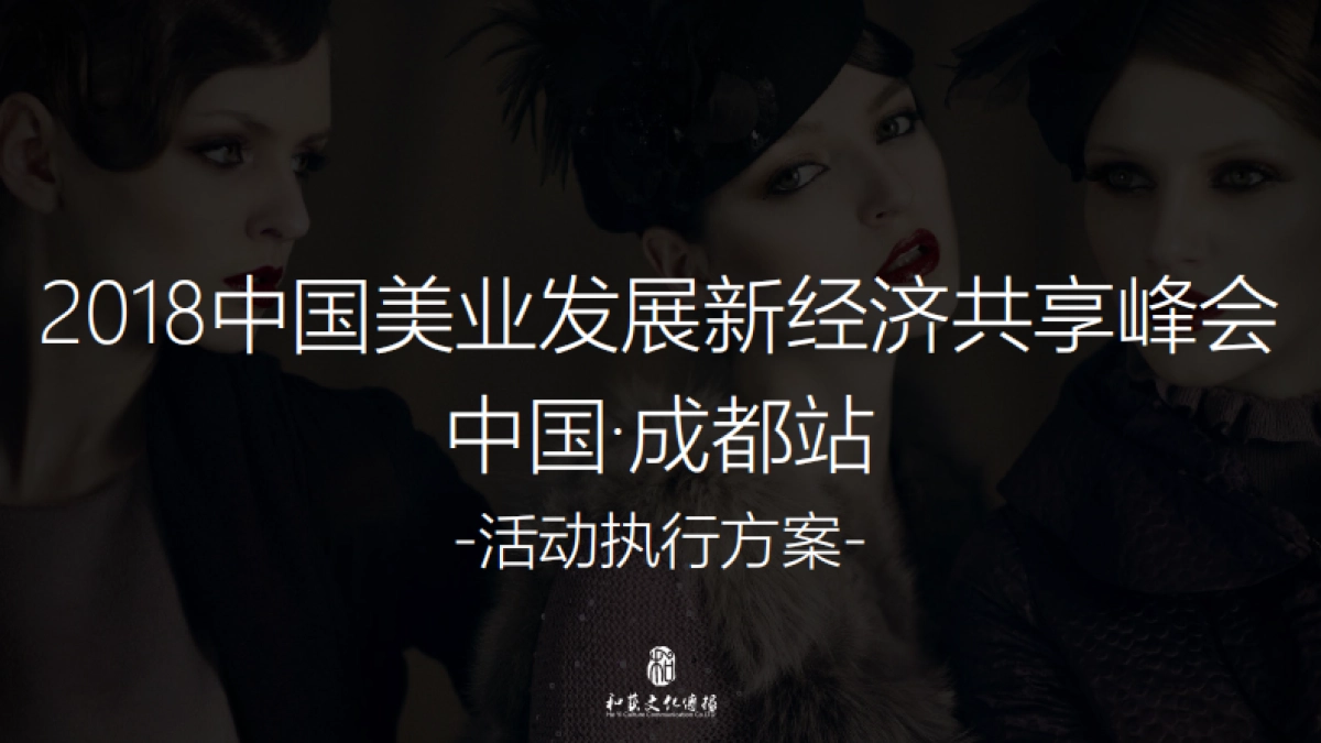 圣丹福-活动执行方案 _第1页