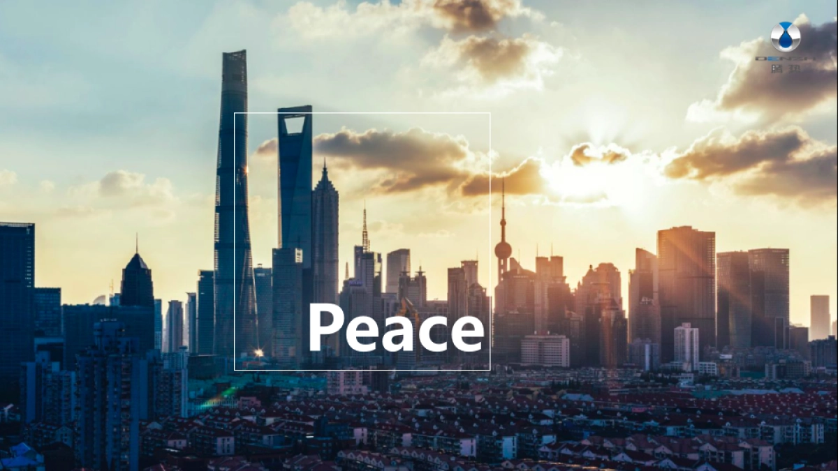 腾势上海车展运营执行方案(会展)_第4页