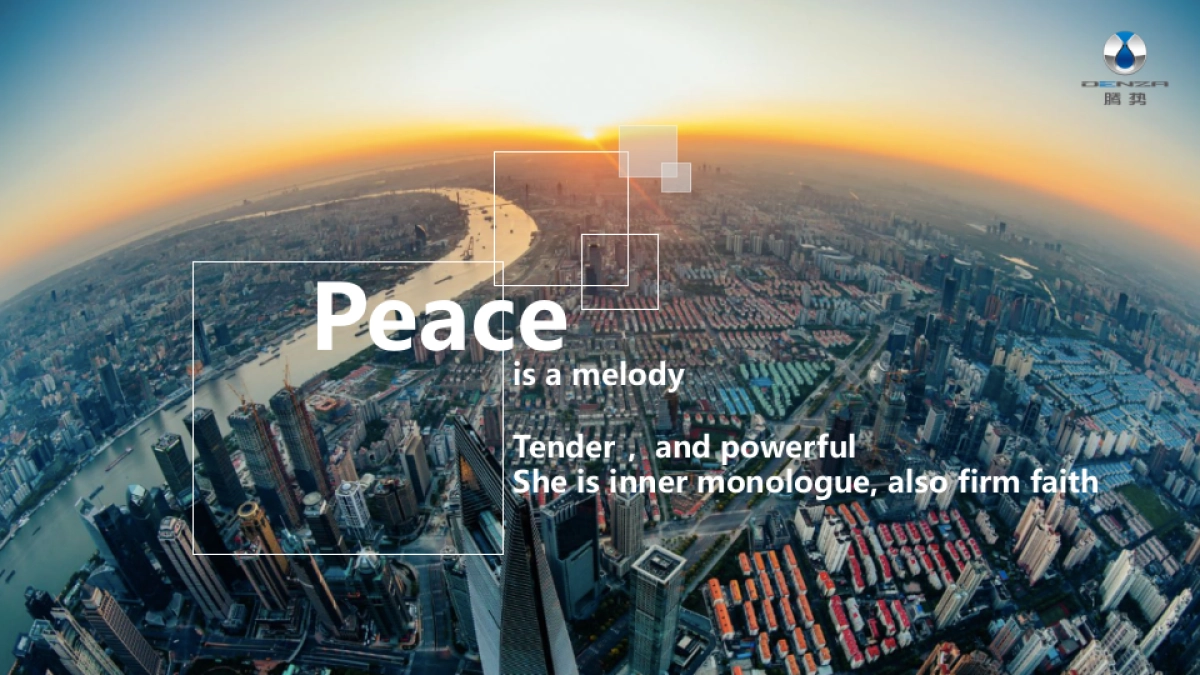 腾势上海车展运营执行方案(会展)_第5页