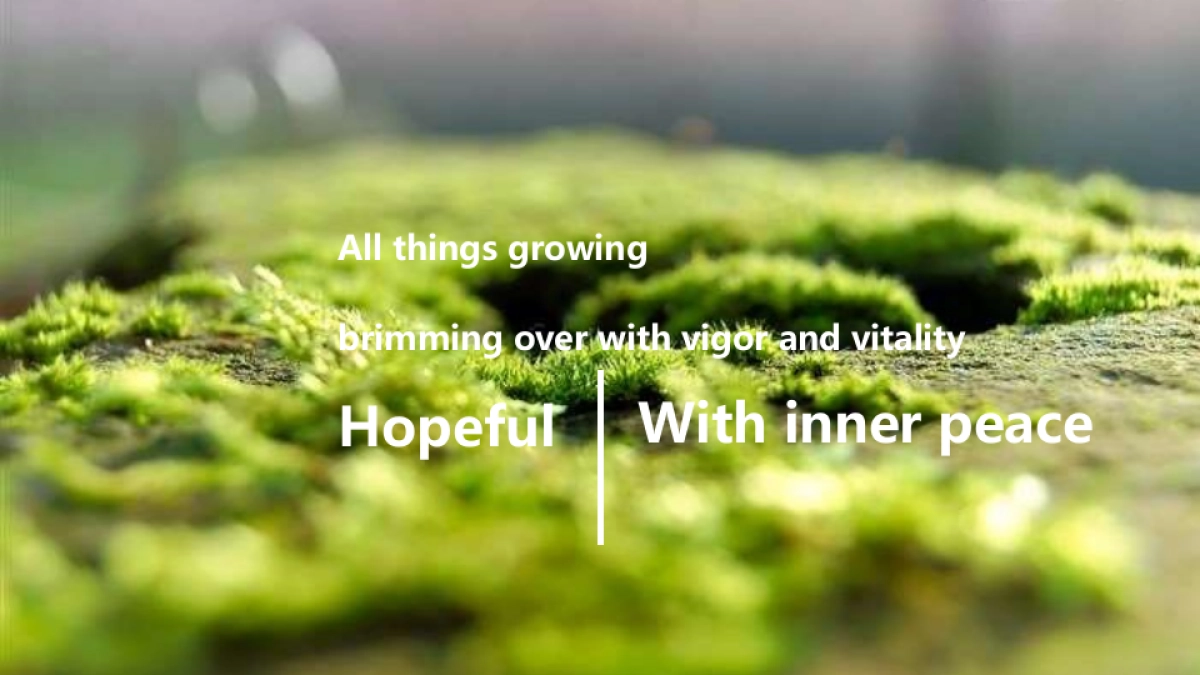 腾势上海车展运营执行方案(会展)_第6页