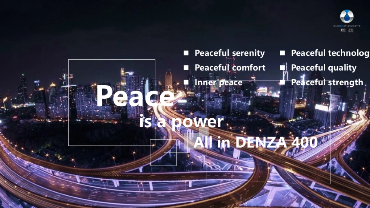 腾势上海车展运营执行方案(会展)_第9页