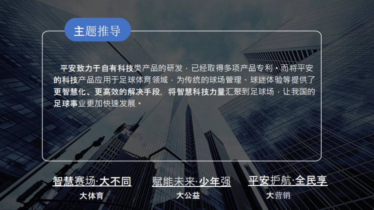 中国平安体育大计划发布仪式执行策划方案_第6页