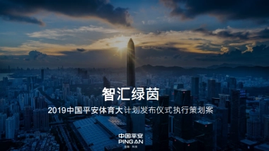 中国平安体育大计划发布仪式执行策划方案