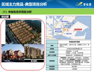 碧桂园竞品分析参考体例