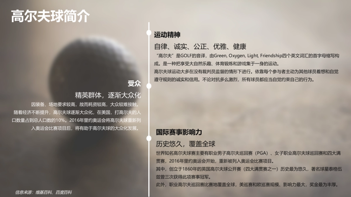 2020VOSS品牌拟赞助球星调研_第4页