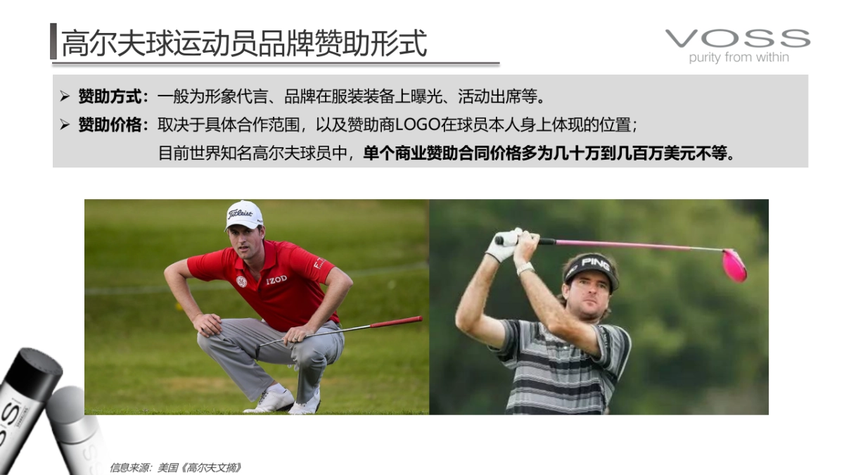 2020VOSS品牌拟赞助球星调研_第5页