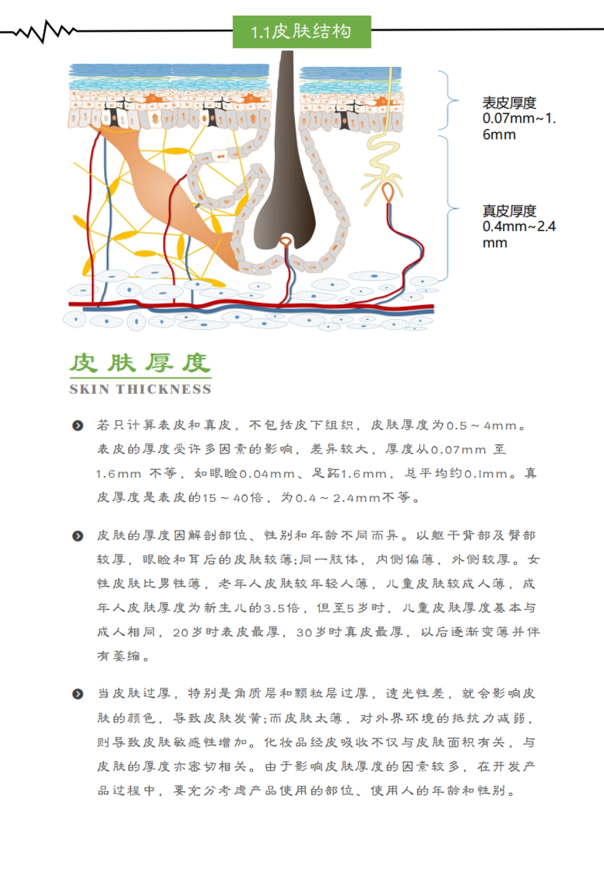 2021中国美容院消费者疫情后BIO居家美容发展趋势调研报告-亘古永续-28页_第7页