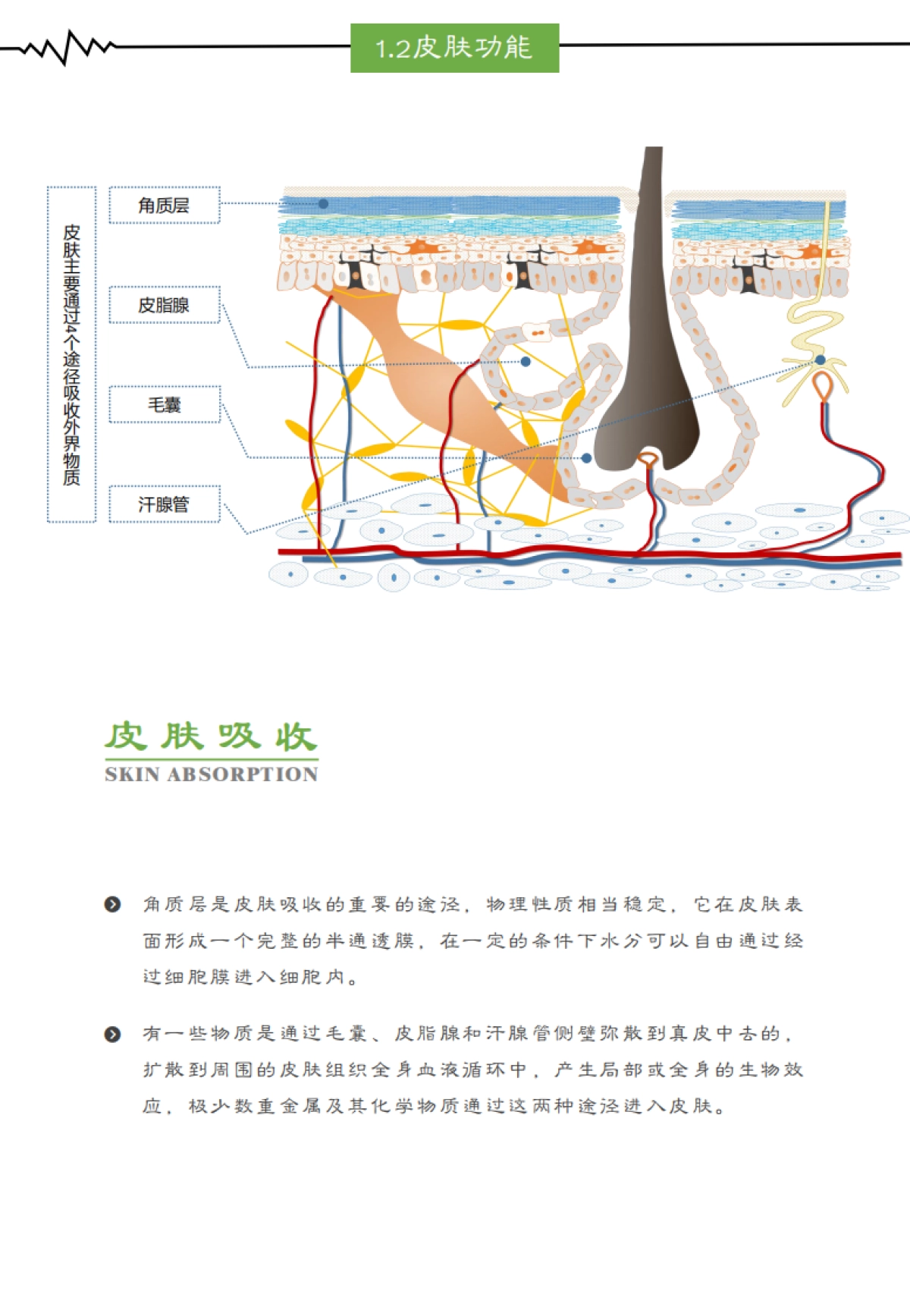 2021中国美容院消费者疫情后BIO居家美容发展趋势调研报告-亘古永续-28页_第9页