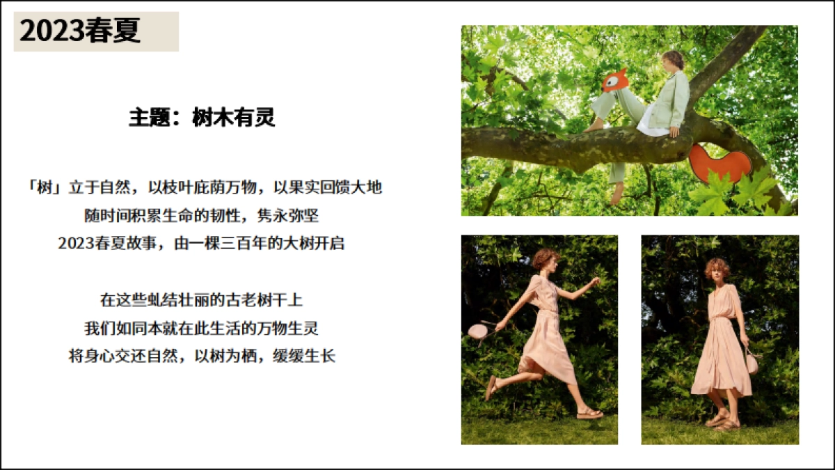 ICICLE之禾陈列调研_第4页