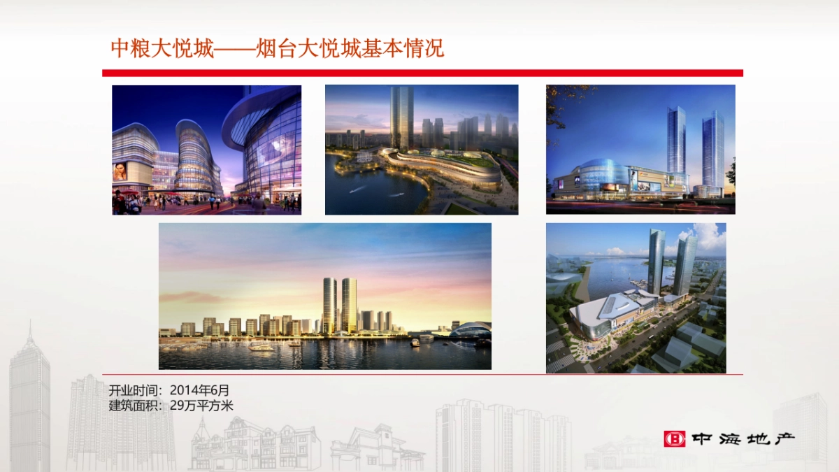 大悦城会员体系调研_第10页