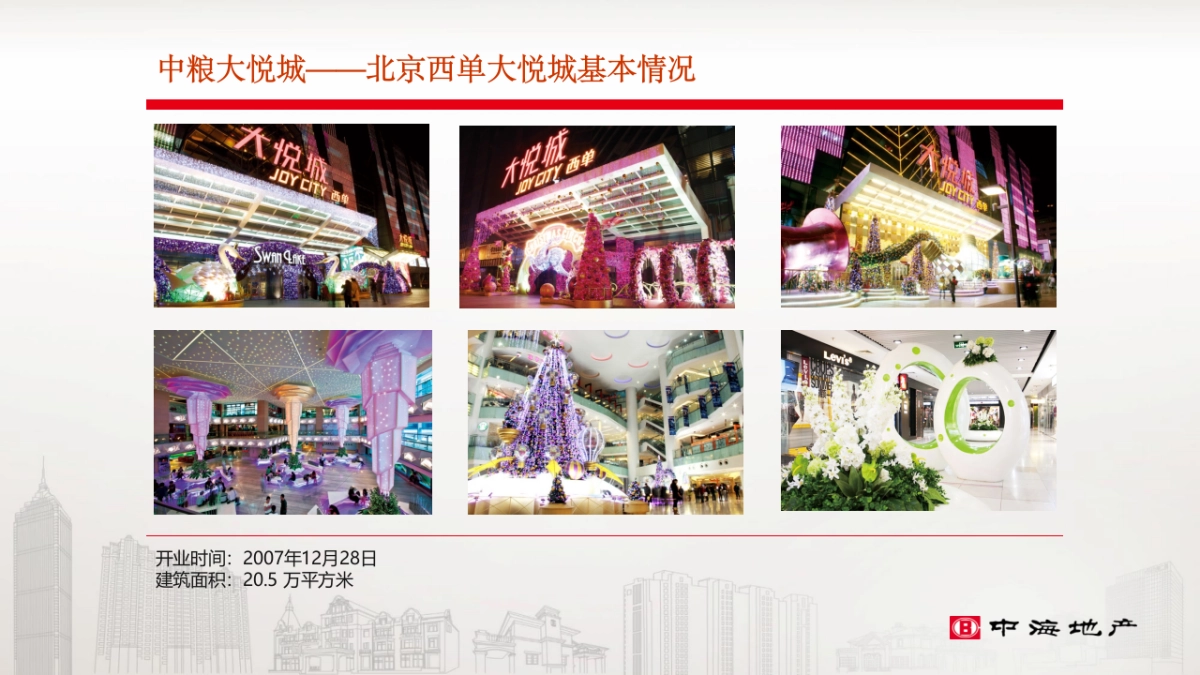 大悦城会员体系调研_第5页