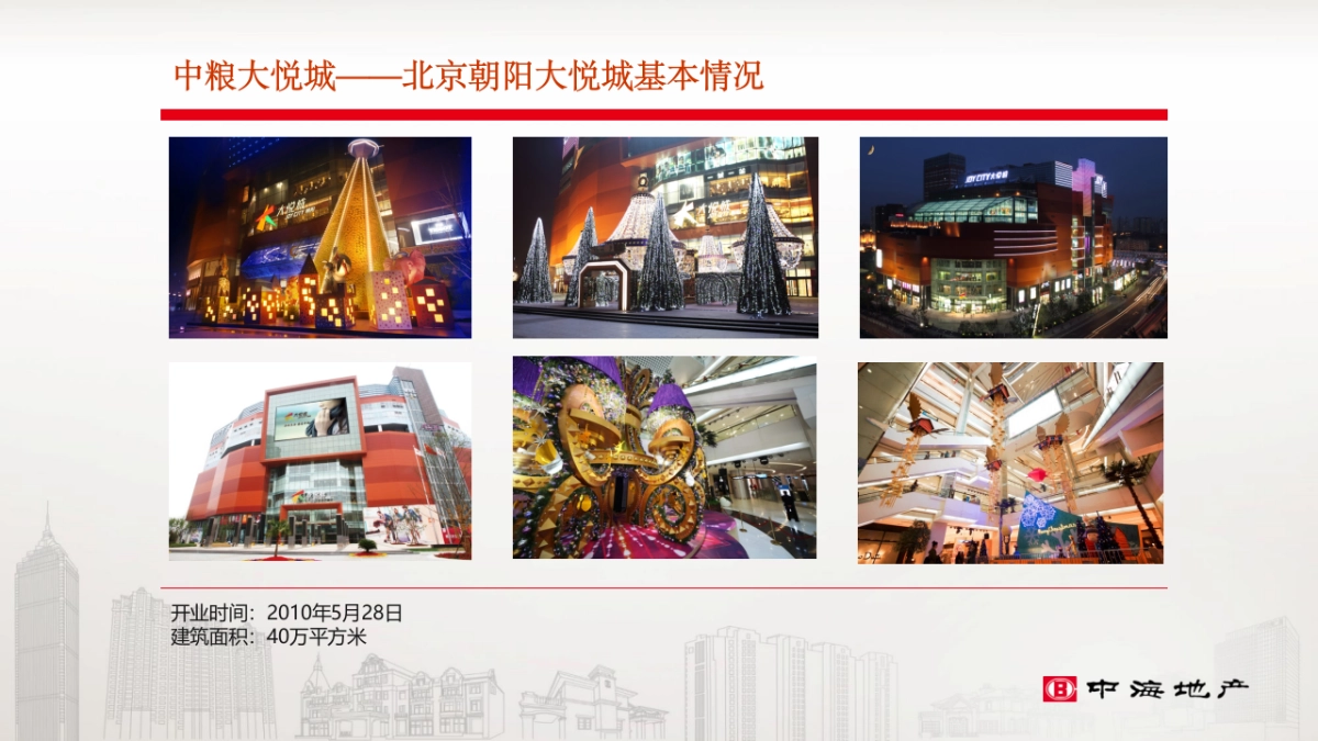 大悦城会员体系调研_第6页