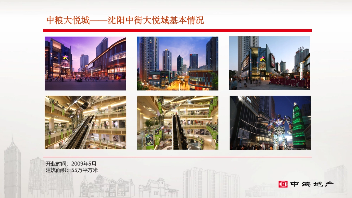 大悦城会员体系调研_第7页