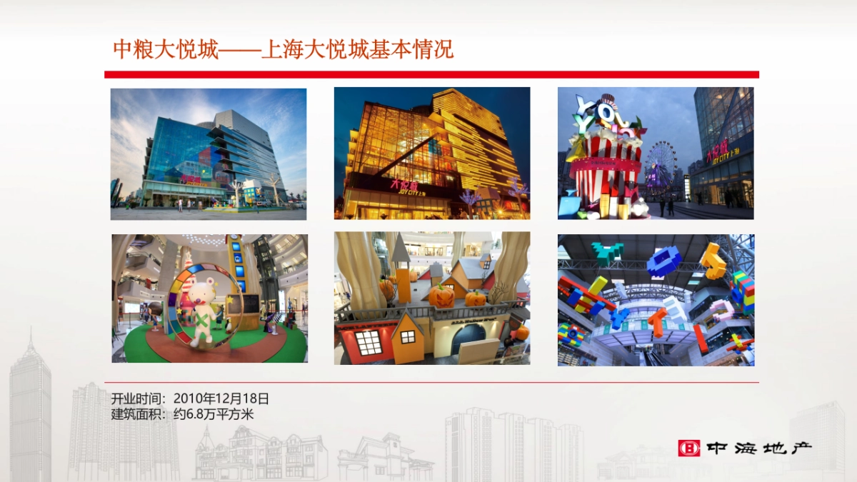 大悦城会员体系调研_第8页