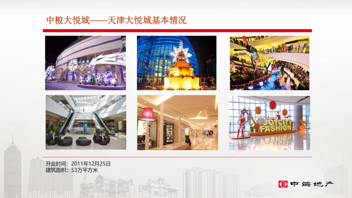 大悦城会员体系调研_第9页