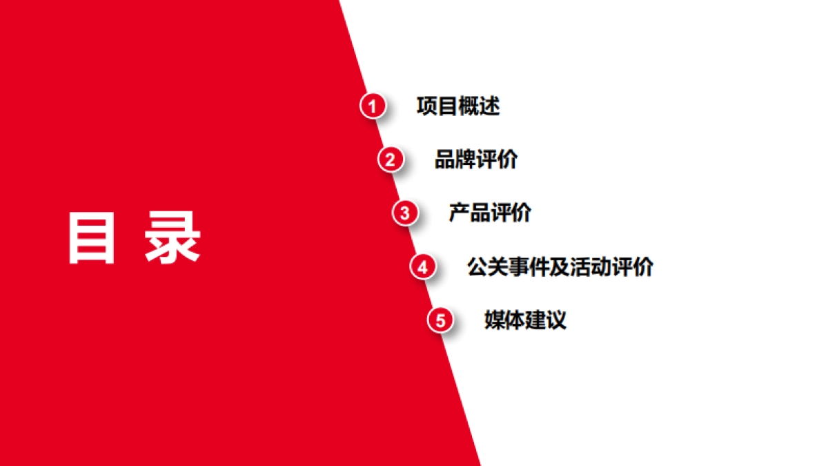 东风风光品牌及产品之媒体调研方案_第1页