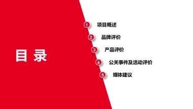 东风风光品牌及产品之媒体调研方案