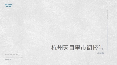 杭州天目里-星合集团市调报告-品牌部