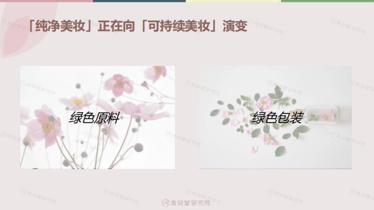 绿色、纯净美妆市场趋势和消费者调研-言安堂_第10页