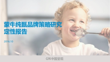 蒙牛纯甄品牌策略调研报告