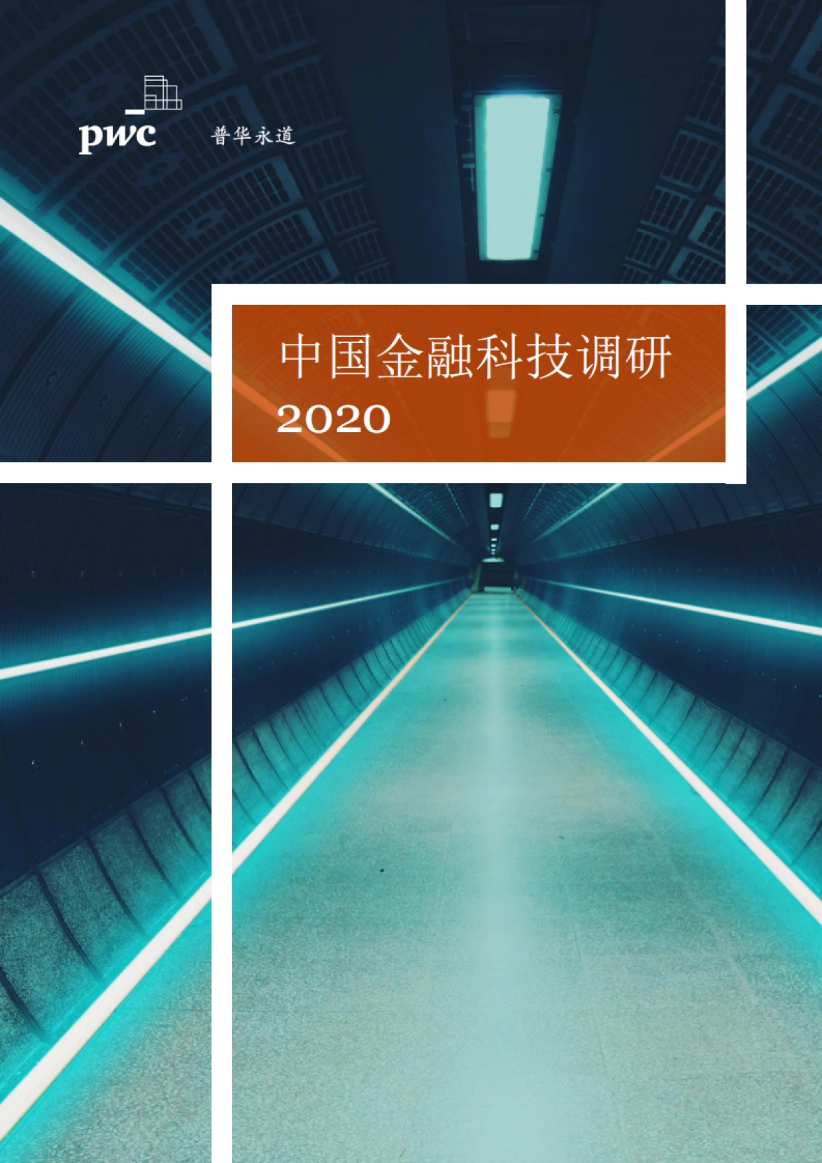 普华永道：中国金融科技调研2020_第1页