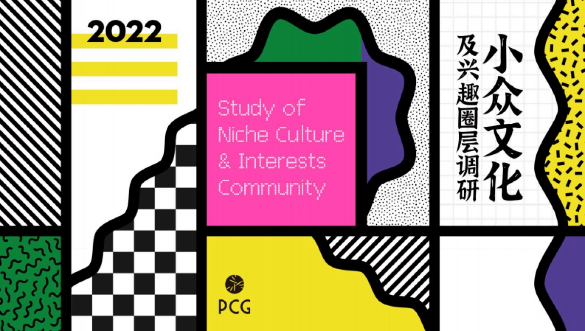 小众文化及兴趣圈层调研报告-29P_第1页