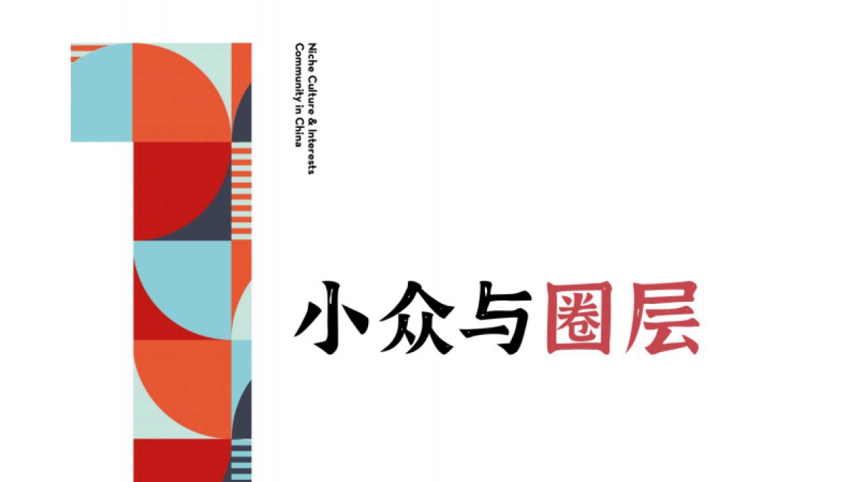 小众文化及兴趣圈层调研报告-29P_第4页