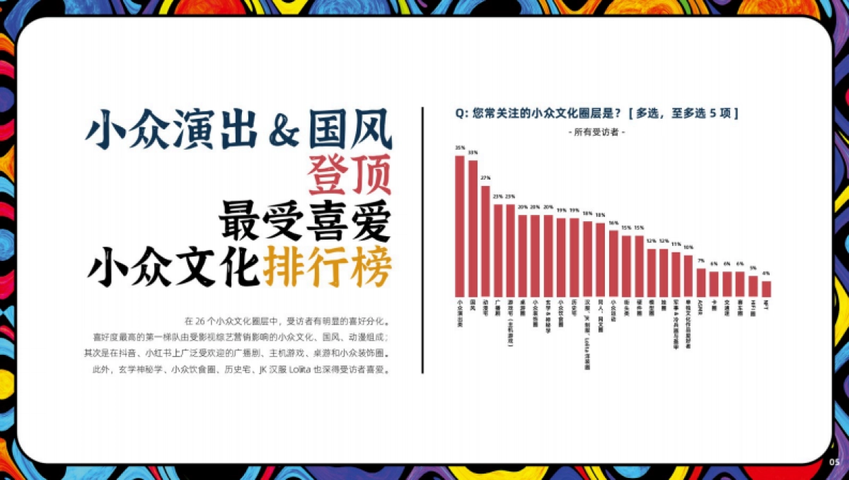 小众文化及兴趣圈层调研报告-29P_第5页