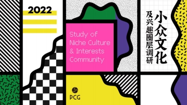 小众文化及兴趣圈层调研报告-29P