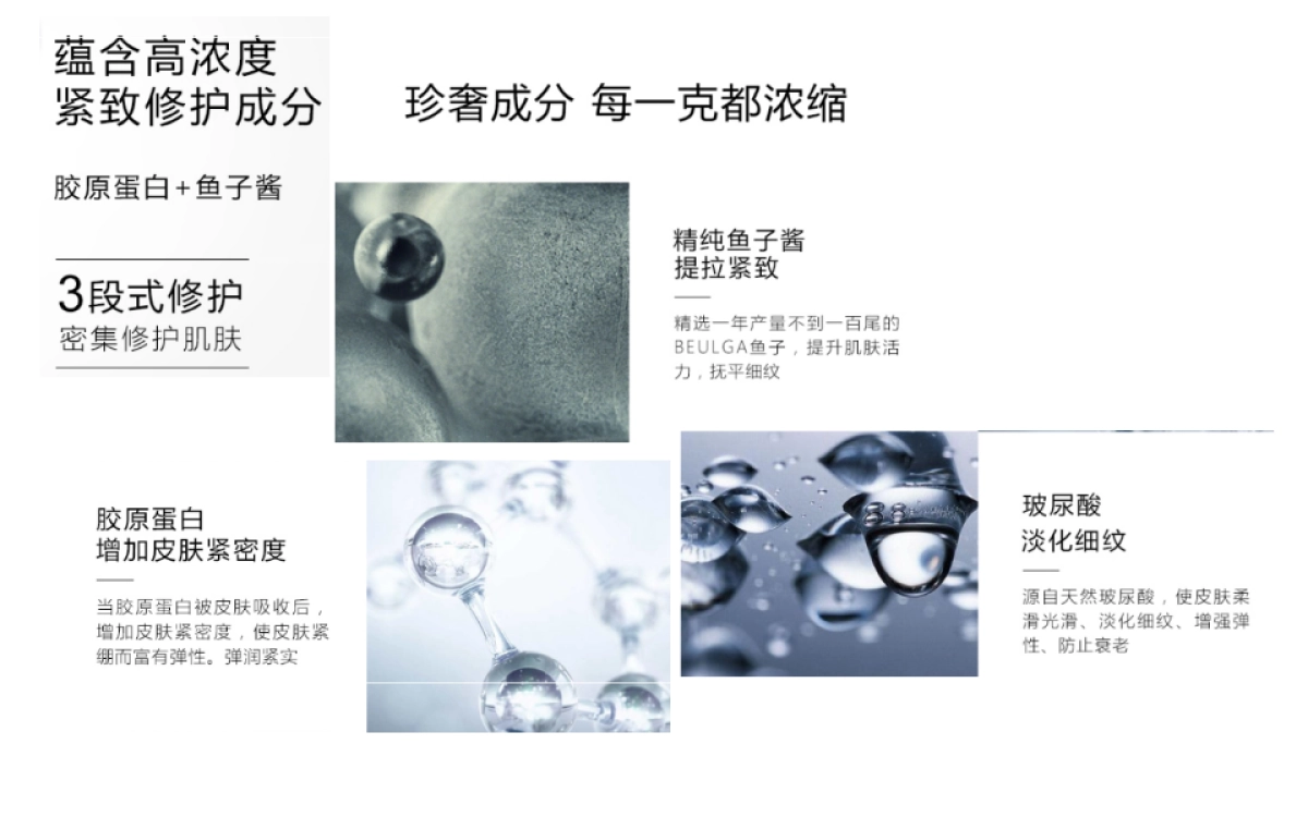 鱼子酱精华调研_第8页