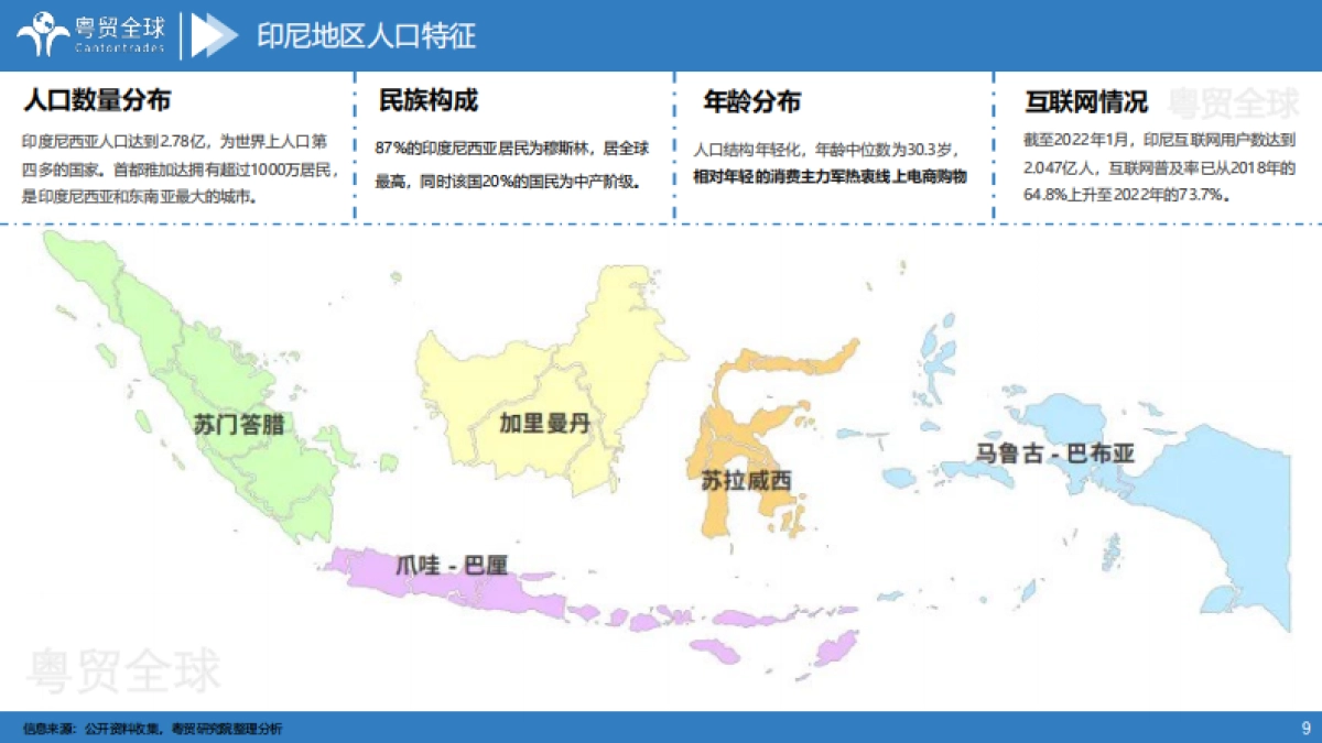 粤贸全球：2022印尼小家电跨境电商市场调研报告_第9页