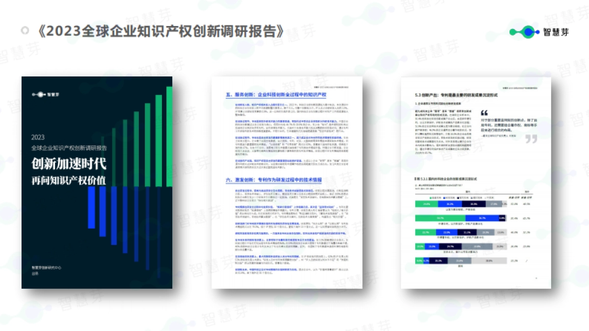 智慧芽：2023全球企业知识产权创新调研报告_第2页