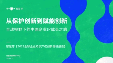 智慧芽：2023全球企业知识产权创新调研报告