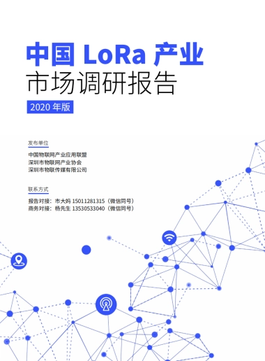 中国LoRa 产业市场调研报告 2020